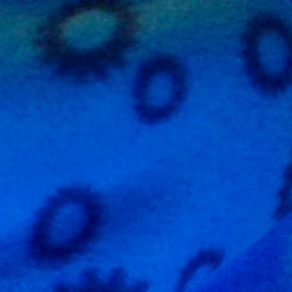 Brand New Nick Jr. Go Diego Go! 2-Piece Jumbo Pillow Cover and Blanket Set - Picture 4 of 5